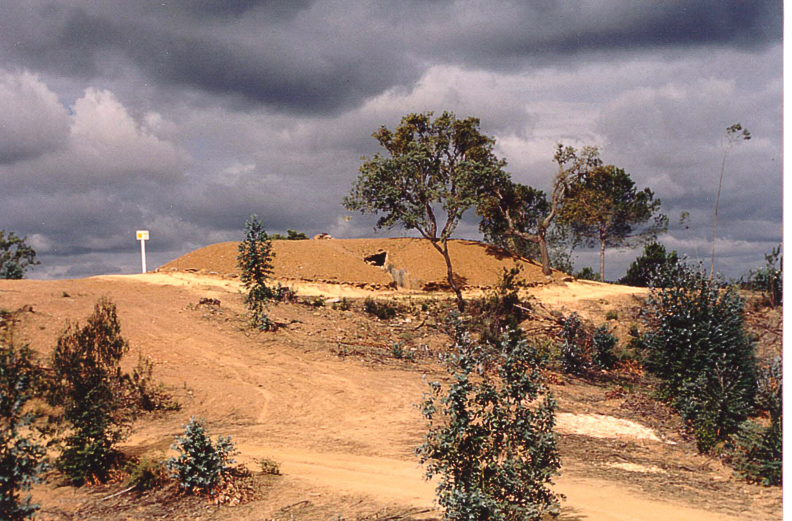 31 ExcavaciÃ³n Pozuelo (Huelva) 1998